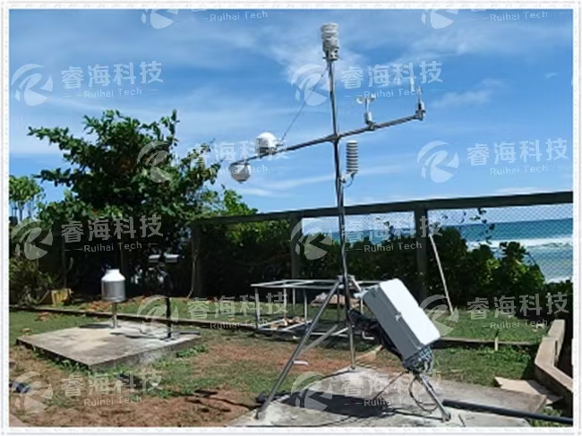 微信圖片_20250225164347 微信圖片_20250225164347